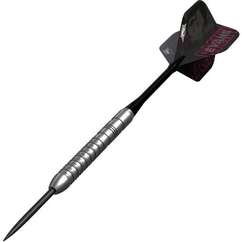 Šípky steel Bulls Ricky Evans E2 21g, 80% wolfrám