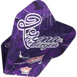 Šípky steel Bull's Lerena Rietbergen 24g 90% wolfram