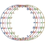 Číselník Bull's na sisalové terče matné farby - 5ks