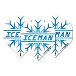 Letky na šípky Red Dragon Hardcore Gerwyn Price Iceman