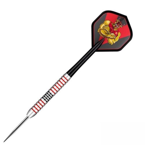 Šípky steel Shot Michael Smith 24g, Brass