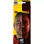 Sada steel šípok TARGET Dimitri Van Den Bergh 22g, Brass