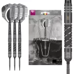 Sada steel šípok Target Dimitri Van Den Bergh x Echo 22g SP, 90% wolfram