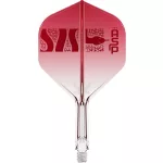 Šípky steel Target Nathan Aspinall 95K 24g SP 95% wolfram