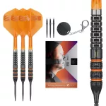 Šípky steel Target Raymond van Barneveld 95K 21g SP 95% wolfram
