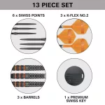 Šípky steel Target Raymond van Barneveld 95K 21g SP 95% wolfram