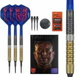 Šípky soft Target Raymond Van Barneveld G6 20g 95% wolfram
