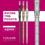 Hroty na šípky TARGET Swiss Point TRB strieborné 42mm