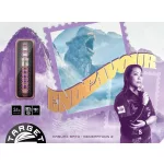 Šípky steel Target Japan Endeavour G2 22g SP 90% wolfram