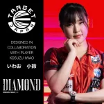 Šípky steel Target Japan Kosuzu Iwao Diamond G4 24g SP 90% wolfrám